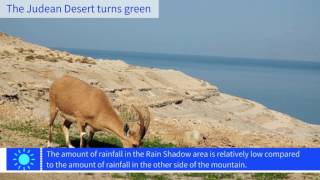 The Judean Desert Turns Green [upl. by Ephram]