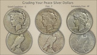 Grading Peace Silver Dollars [upl. by Korney]