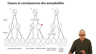 Cours N° 10 Aberrations chromosomiques  Anomalies de nombre [upl. by Bazil783]