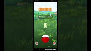 Chikorita pokemongo collectiblecardgame [upl. by Ecirtahs109]