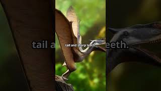 Prehistoric Flying Reptiles of Pakistan adventure pakistan prehistoric flyingreptiles [upl. by Hagai]