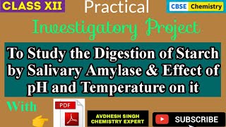 Digestion of Starch by Salivary Amylase  Chemistry Investigatory Project  PDF  CBSE 12  2023 [upl. by Rifkin]