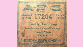 Rudolph Frimls Firefly Two Step Player Piano Roll [upl. by Nylra809]