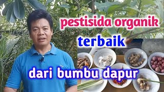 7 Pestisida Organik Terbaik Dari Bumbu Dapur [upl. by Rimidalg]