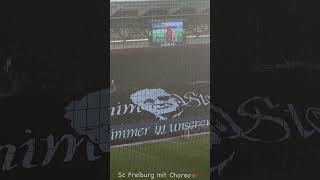 Freiburg mit Choreo gegen Mainz [upl. by Adnale]