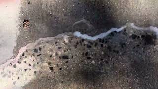 The Original Concrete Crack Filler Magic Crack [upl. by Bust557]