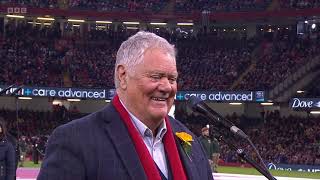 Singing with Max Boyce at the 6 Nations  Wales v France [upl. by Ened917]