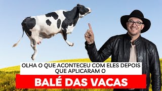 🟢 BALÉ DAS VACAS E MANEJO BSF  Aumentou em 5x a produção de leite [upl. by Tsan]