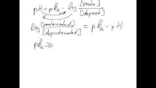 Protein Digestion and Absorption [upl. by Aehsel]