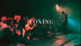 Foxing quotRoryquot [upl. by Acyre]