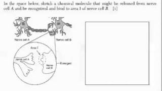 LE REGENTS REVIEW Homeostasis 2011 [upl. by Ainala]