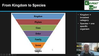 Classification [upl. by Eralc]