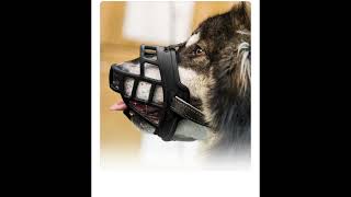 Dog Muzzles That Allow Drinking [upl. by Kristi]