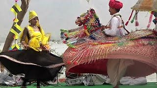 कच्छी घोड़ी नृत्य Colourful Dummy Horse Kachchi Ghodi Dance  Rajasthani Folk dance [upl. by Silra]