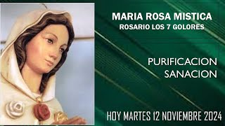 PIZCA DE HUMANIDAD  ROSARIO MARIA ROSA MISTICA 7 DOLORES HOY MARTES 12112024  5 15 A M [upl. by Akirdnwahs875]