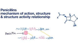 Penicillins Structure SAR and Mechanism of action  Infectious Disease [upl. by Gravante]