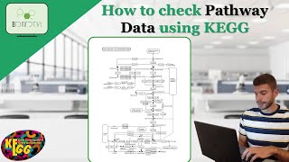 How to check Pathway Data using KEGG kegg pathway data bioinformatics science [upl. by Cosme77]