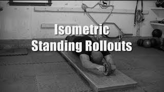 Core Training With Isometric Rollouts [upl. by Areta]