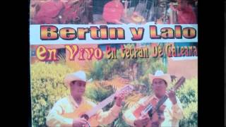 bertin y lalo el andale [upl. by Ymaj]