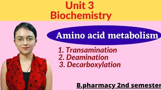 Amino acid metabolism Transamination Deamination and Decarboxylation with notes Biochemistry 2 sem [upl. by Sire]