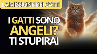 😺I GATTI SONO ANGELI MANDATI PER TE 🌟  La Missione SPIRITUALE Dei GATTI [upl. by Ashwell]