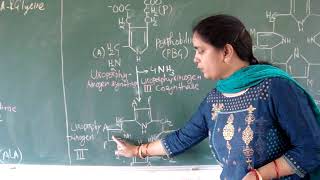 Porphyrin BiosynthesisHeme Synthesis Hindi [upl. by Eimmelc]