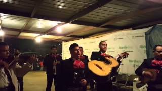 MARIACHI BRONCE DE DALLAS TX de Juan 2146422614 [upl. by Aramal]