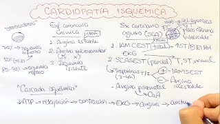 Cardiopatía isquémica 1 Angina estable SCA angina inestable IMACEST IMASEST [upl. by Mccullough]