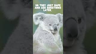 Disturbing Koala Facts [upl. by Skurnik]