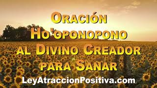 🌻 MEDITACIÓN HOOPONOPONO para SANAR meditacion meditacionguiada hooponopono [upl. by Armond]