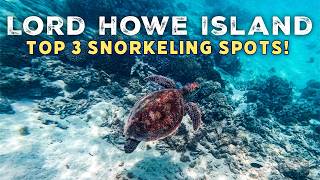 Top 3 Snorkeling Spots on Lord Howe Island  4K [upl. by Earlie]