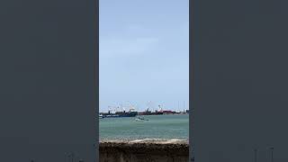 Cape Verde Praia Harbor shorts travel africa [upl. by Medin]