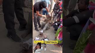 Garibi wala short video YouTube short video viral short video YouTube viral short video [upl. by Klemm]