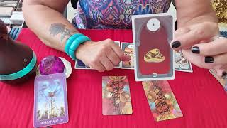 tarotconsultaparticularonline ACONSELHAMENTOS PARA A SUA SEMANA 💃❤CONSULTAS21 981695519 [upl. by Pul480]