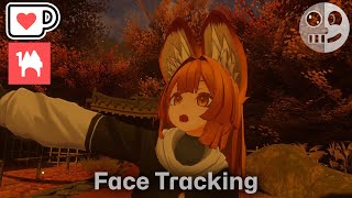 Epliエプリ  Face Tracking AddOn [upl. by Veleda]