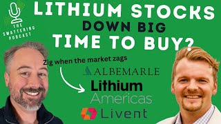 Lithium Stocks Down Big What Investors Should Do [upl. by Speroni]