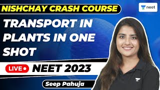 Transport in Plants  Part 1  NEET 2023  Nishchay Crash Course  Seep Pahuja [upl. by Tham]