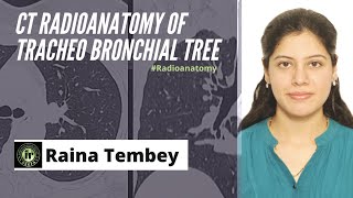 CT TRACHEOBRONCHIAL TREE ANATOMY  RAINA TEMBEY  HRCT CHEST  RADIOANATOMY TRACHEA AND BRONCHI [upl. by Atikam217]