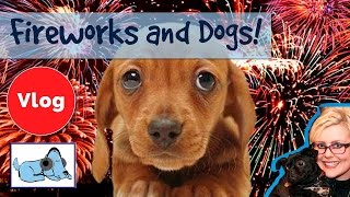 How to Help Scared Dogs Cope with Fireworks Calm Down Your Dog During Firework Displays [upl. by Notnirb466]