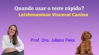 Quando usar o teste rápido na Leishmaniose Visceral Canina [upl. by Felic]