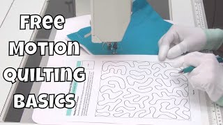 Beginner Free Motion Quilting on a Sewing Machine  Stitch Stippling [upl. by Urbannai]