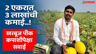 2 एकरात 3 लाखांची कमाईखरबूज पीक कपाशीपेक्षा सवाई  cash crop [upl. by Remde288]