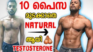 HOW TO BOOST TESTOSTERONE FASTER NATURALLY MALAYALAM  MaLLuUnToLD [upl. by Hutchison]