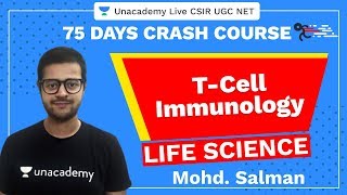 75 Days CSIRUGC NET Crash Course  TCELL IMMUNOLOGY  Unacademy Live CSIR UGC NET [upl. by Willin]