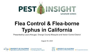 Flea Control amp Fleaborne Typhus in California [upl. by Nylzzaj]