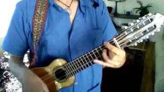 Charango Lesson 1 EnglishSpanish [upl. by Artekal]