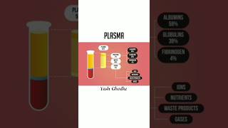 Plasma  plasma bodyfluidsandcirculation rbcs viralvideo neet11th science neet shorts [upl. by Burney]