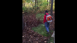 Stihl BR320 vs BR600 please MUTE [upl. by Rugg]