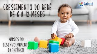 O que faz o bebê a partir dos 6 meses  Comunicação introdução alimentar e desenvolvimento motor [upl. by Oisinoid]