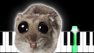 Sad Hamster Violin Meme Woe Is Me  RIGHT HAND Piano Tutorial [upl. by Pembroke]